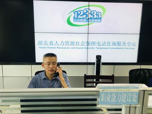 湖北省职业技能提升行动政策宣讲及咨询活动成功举办